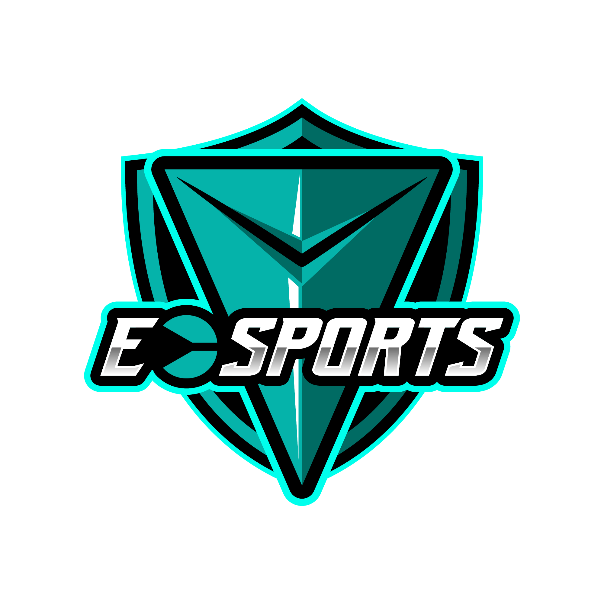 Villeage Esports & Entertainment